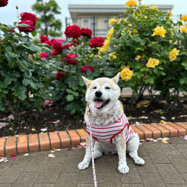 08a77676 6685 4083 ab22 174b7c7248c6 1747545208760