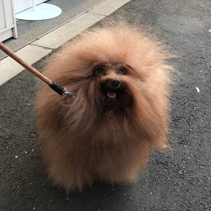 08a78ea9 f03f 48d7 8300 6c75c3d438df 1550991381210