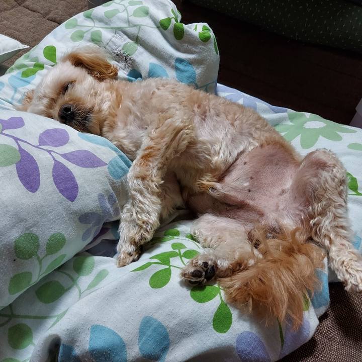 08a7b1cf b800 4951 a57a f8fa4c995a3a 1664106649150