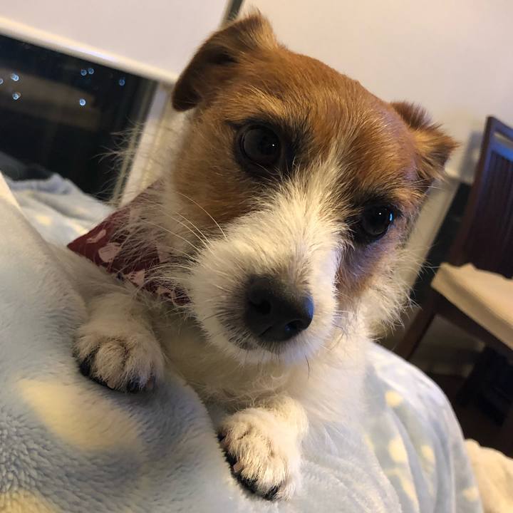 08a7b917 3efd 496c aa4c 9a7734dce268 1580216736945