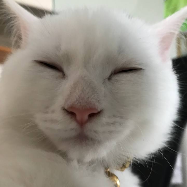 08a7c9c4 eaa4 42cd adbe 5bd3b726c64b 1508585587312