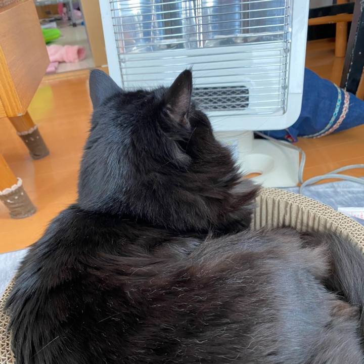 08a81479 e475 41b0 88ee 59f230c03c57 1612956246840