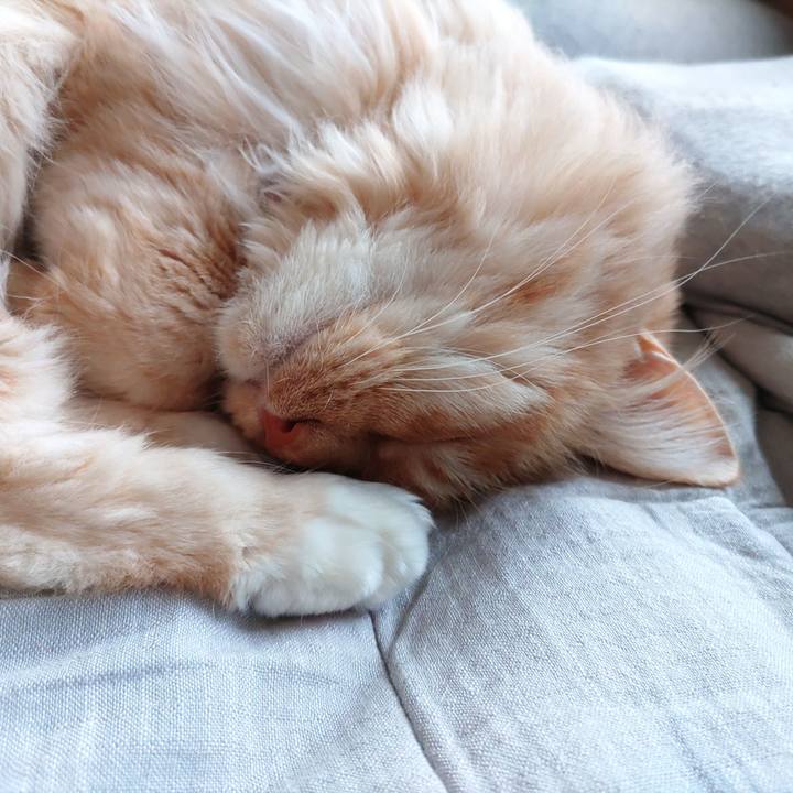 08a833cd a1a4 43e8 9061 f9fef7d99b1e 1678583555199