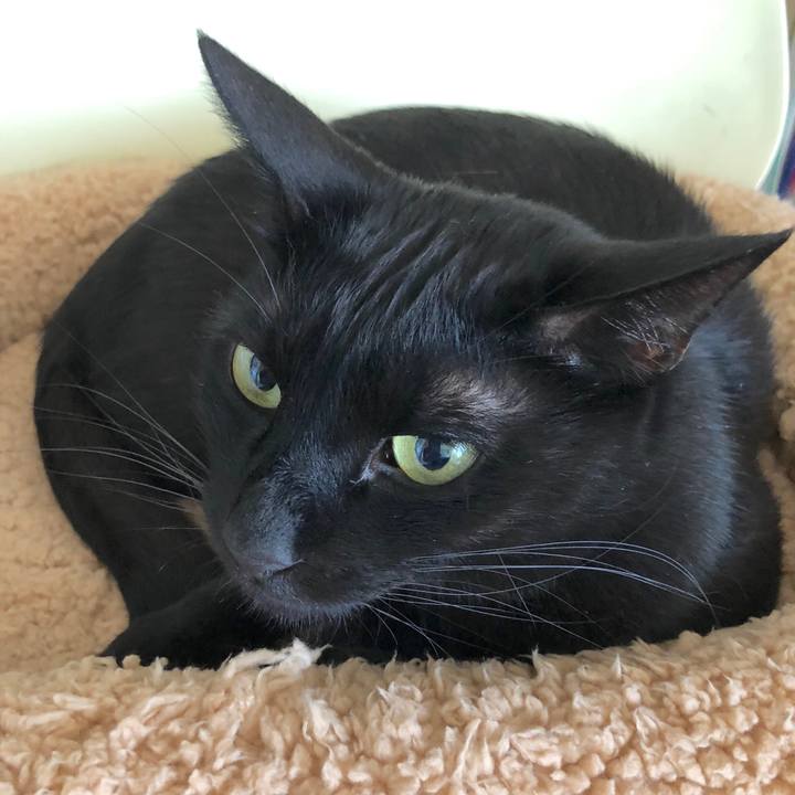 08a84273 f8bf 4b0f b5a4 0d9e626c7e31 1530328113669