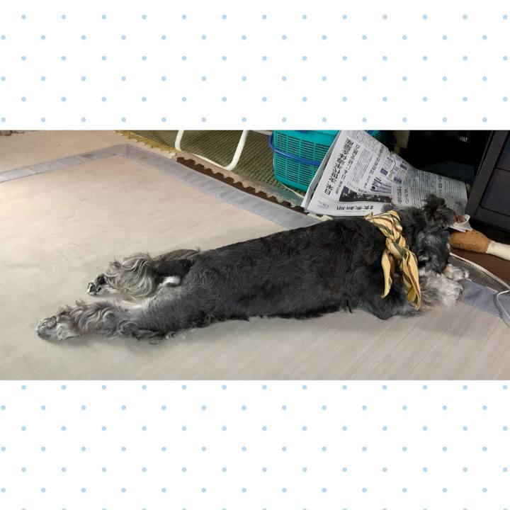 08a85a19 dbee 4407 ac75 23e42f4cab9d 1659259039184