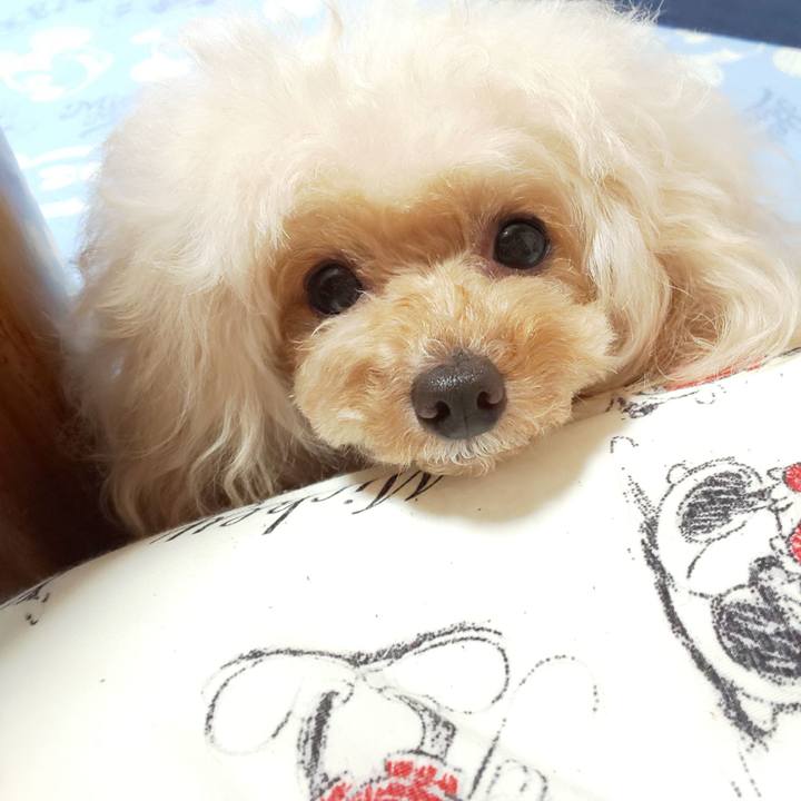 08a8666f e77a 49d6 bbdc 1ce96f7ed06e 1623844157317