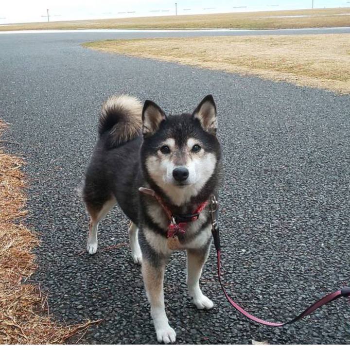 08a86b2f 5784 4812 8a2a 3c51cb9c6287 1656140496587