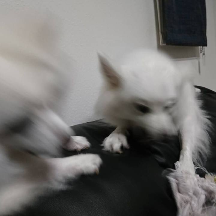 08a888fb 5143 4712 89f3 5f5062193dc7 1560351235937