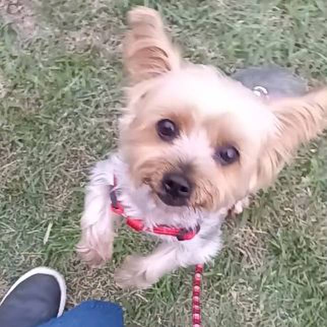 08a88930 e42a 460d 9059 964b946c3139 1760863793644