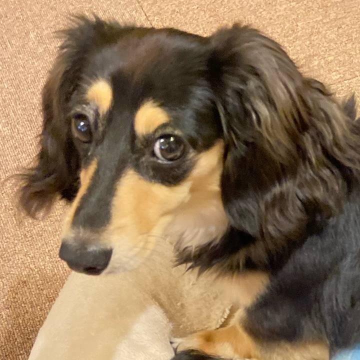 08a88d26 423b 40e3 bd5d b797bf2237fc 1686305381312