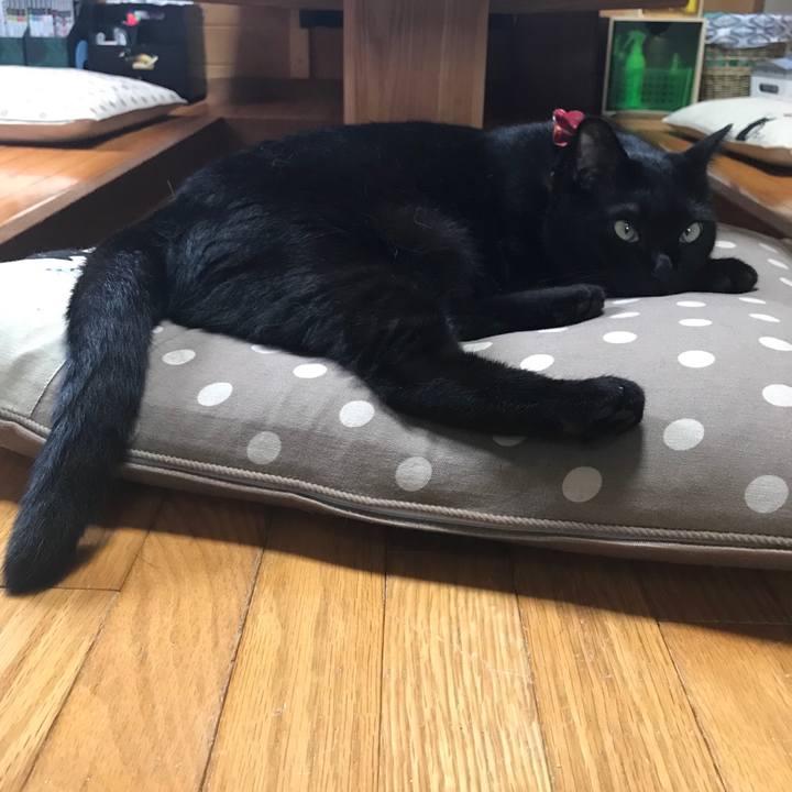 08a8e047 4565 4b99 ad43 4b25275807c3 1530144402817