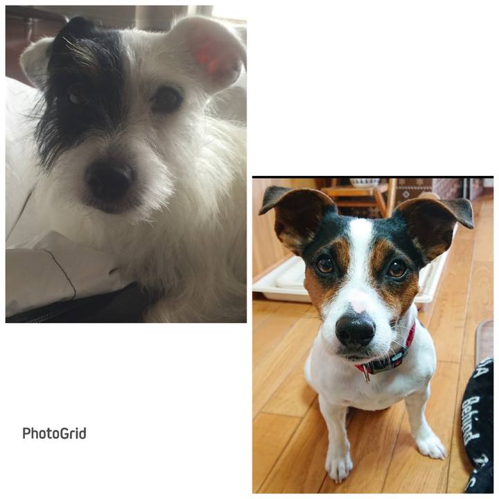 08a8e215 5e95 47b3 9b39 0395d7975b3a 1715947010981