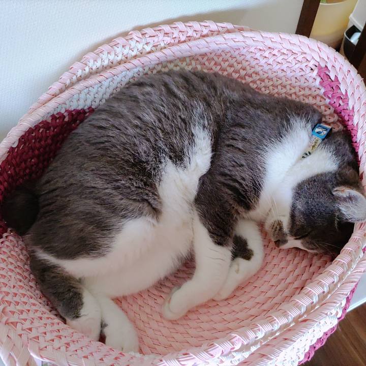 08a8ea66 78ed 464b 9b97 99f0e711e622 1720224602954