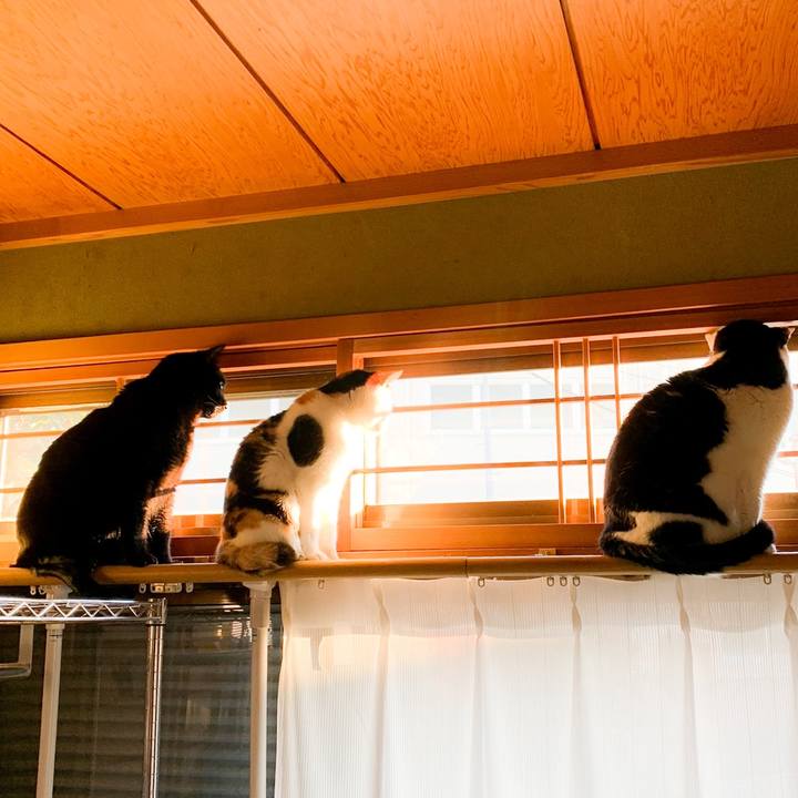 08a93a8f 21b8 4ece af28 ffade5164dab 1582597997696