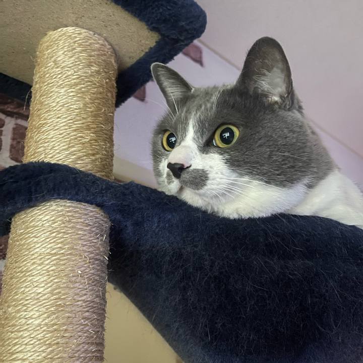 08a962fb a775 4f2a 8d89 9f3572ce73d6 1711147703911