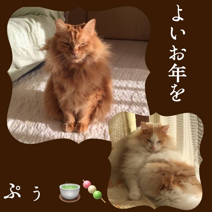 08a967ec 57f8 4d53 aaf0 ed6de7cd7bb3 1514673258084