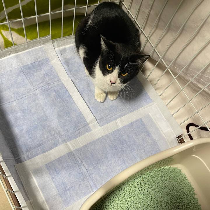 08a97f6f 0f43 4bee ac36 c4e90d0eaaf3 1675784165969