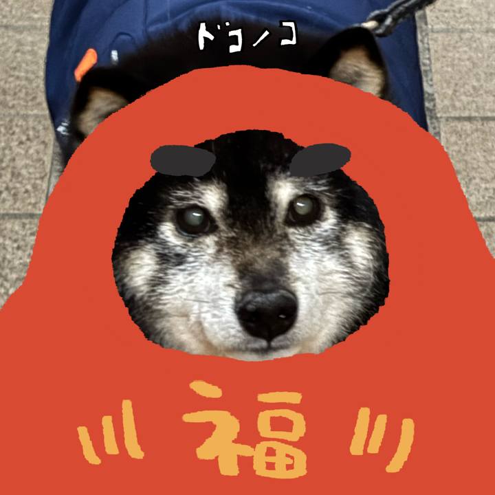 08a99cd4 3add 4c24 8f6a 0f7d5cba2662 1771903993727