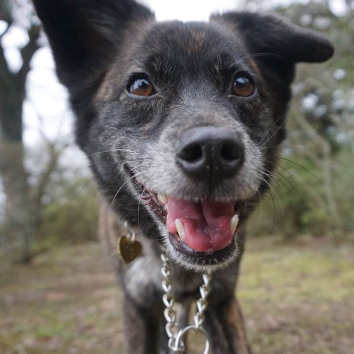 08a9a0e7 ade1 4aba 8bca 9d8112ec71e2 1523885341573