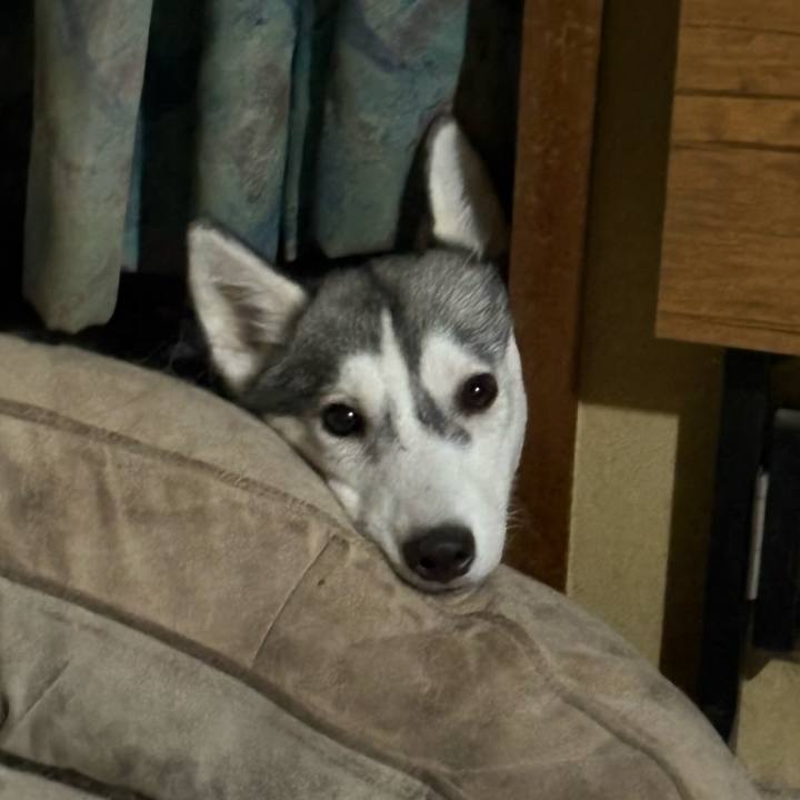 08a9d616 f3e4 4da0 80ea bbe7bb4a179b 1757852588553