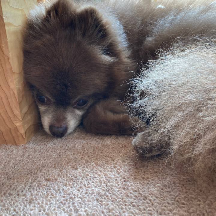 08a9e878 6217 446f 9300 35b846574aec 1649731566127