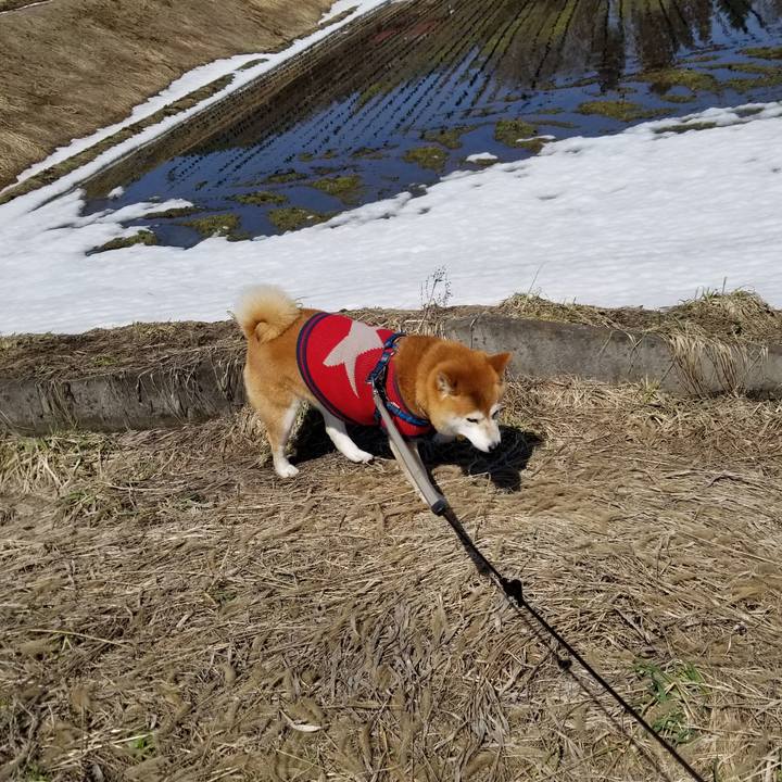 08aa074e 66f3 49f9 a24e 8141d8d847bf 1552877562689