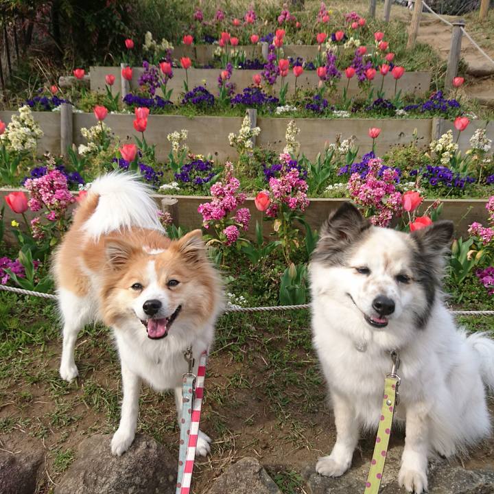 08aa2a6b 792c 4825 9b27 5b629bddbd0d 1587639070097