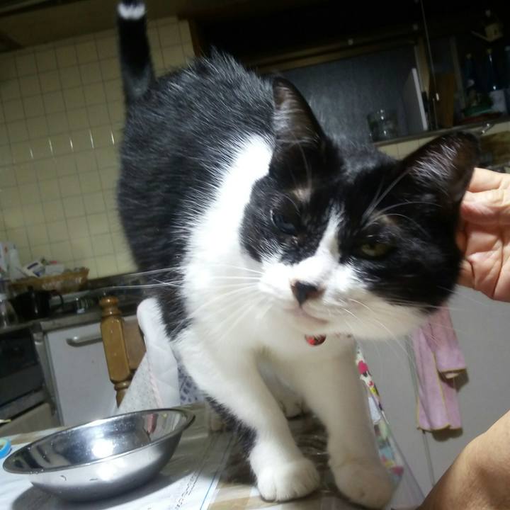 08aa784e 80c8 4b40 a10d 4b3994e8d67d 1536486478943