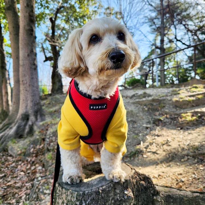 08aa7b69 bd93 4059 b093 cbf93c7f5610 1768621611297