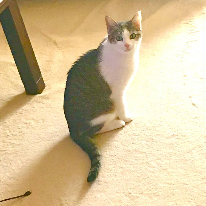 08aaa40e c2fb 4b68 8f14 1b194586b32f 1660658860205