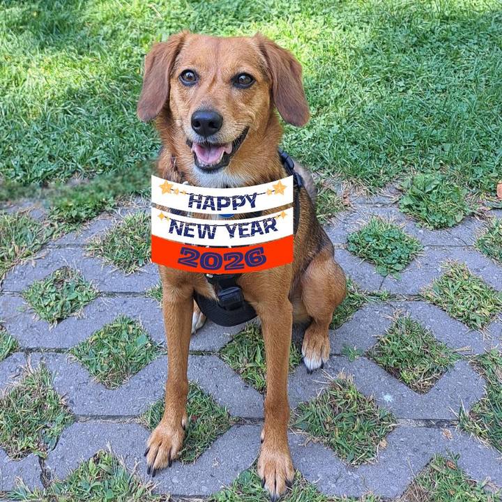 08aaaab3 9686 4a35 b27a 62c185b213b3 1767269199927