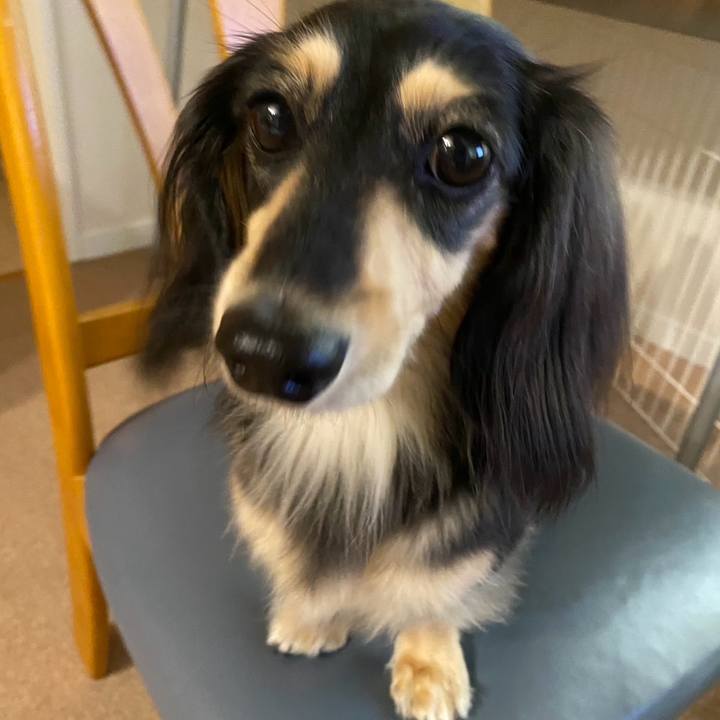 08aab1e8 882d 4dc0 a5f2 8dc68c09c1df 1764638052930