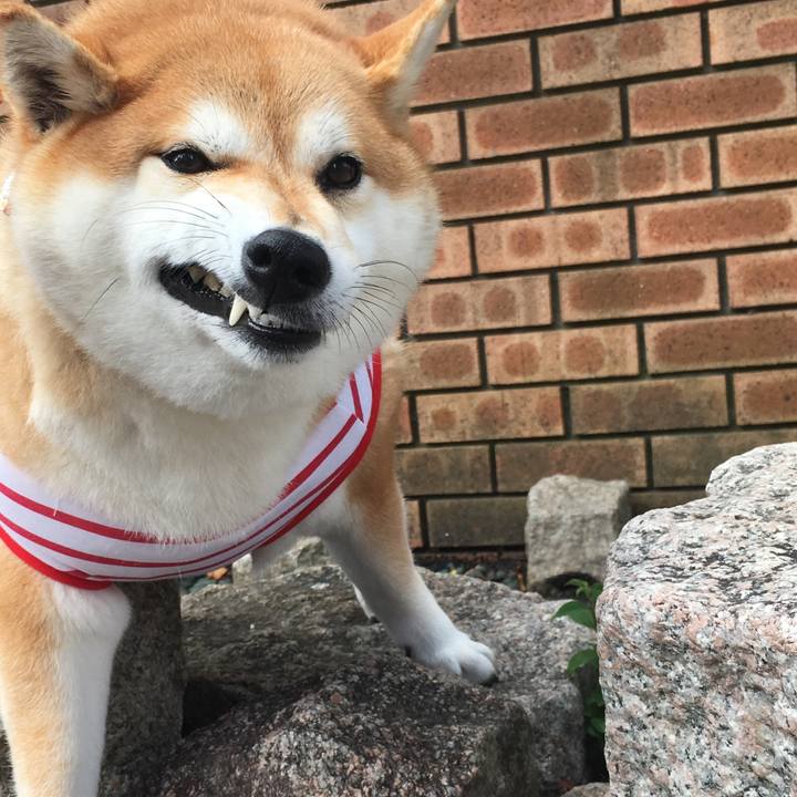 08aabcfe 739c 4776 ad3e 77565d037211 1565570803911