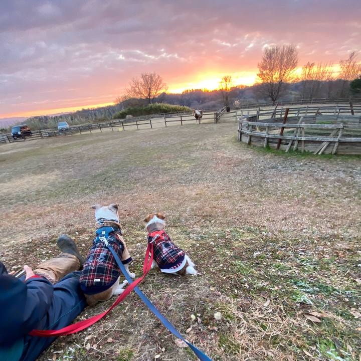 08aadd11 cd47 4c29 ac5f b2d3e267705c 1672540992338