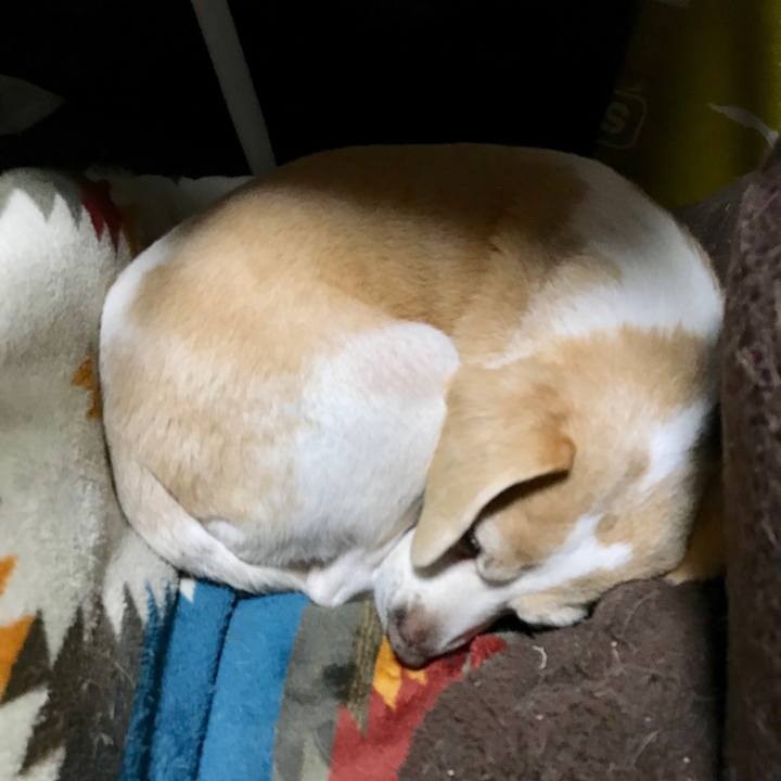 08ab08e6 09a8 454d b692 50675c7f9652 1549426629637