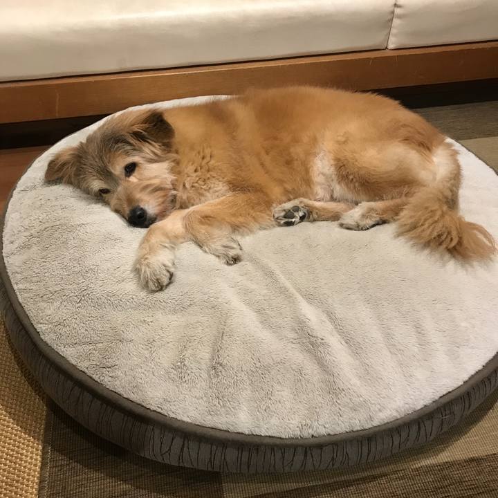 08ab3100 86d8 4638 8c67 aa775cf06507 1605067557153