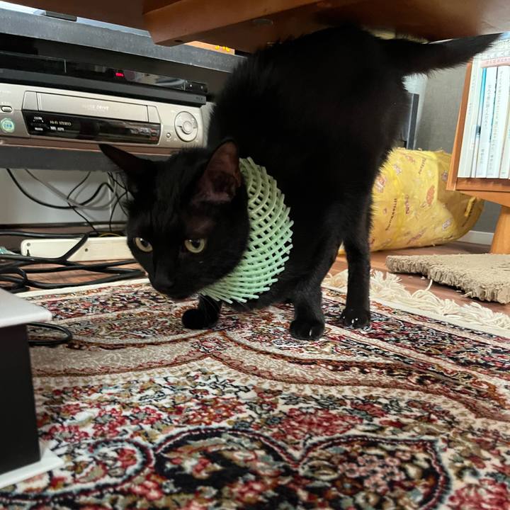 08ab3465 29bf 415f 8fc2 0606bbdeae52 1768141966138