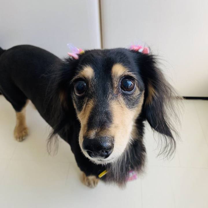 08ab740d 5228 4430 b50c 1de032a5ba41 1605226367745