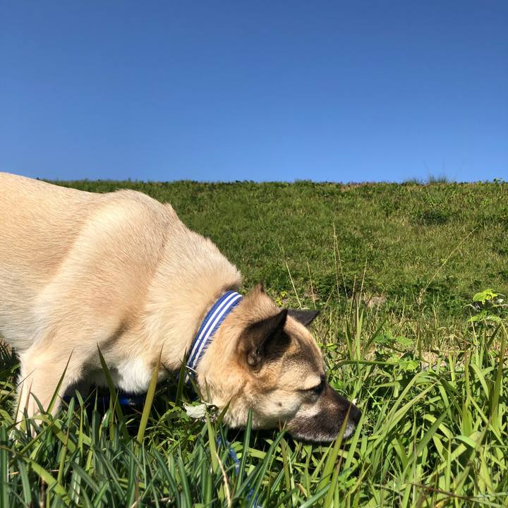 08abccd9 96f9 437c 9003 05d75b850cf2 1604839273041