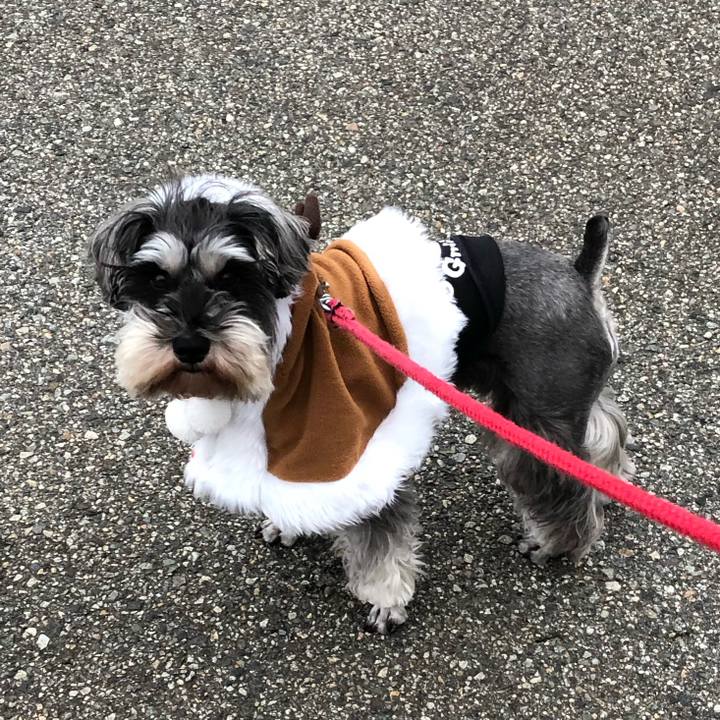 08abd212 c251 4a7b a1f5 108f38b84350 1545529132511