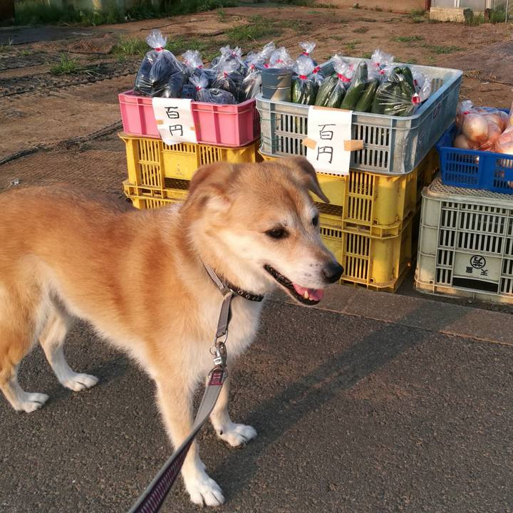 08abd73c 4ca2 4a98 9ab1 4247c39cb8ee 1533247201741