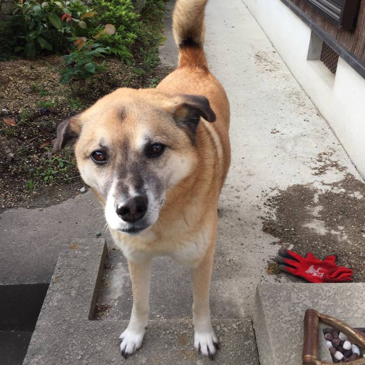 08abe772 22e4 4d46 82ed 7db83488fb98 1524699268808