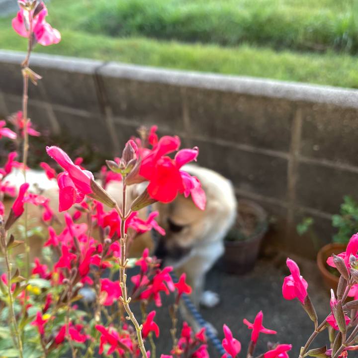 08ac2abf 49a2 4b99 a1e3 b466fd00d344 1666181505451