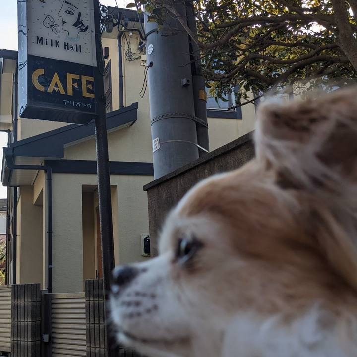 08ac35fe 2e4f 4f51 952c 2b594d05a94a 1715087101265