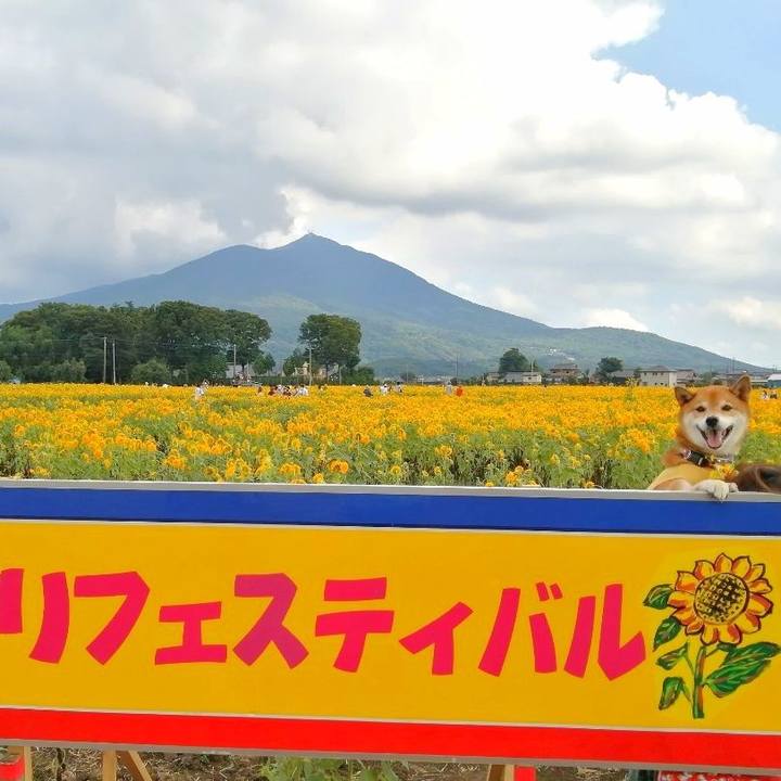 08ac441a 56b8 4968 b02c 8ce3bd13484e 1662292194223