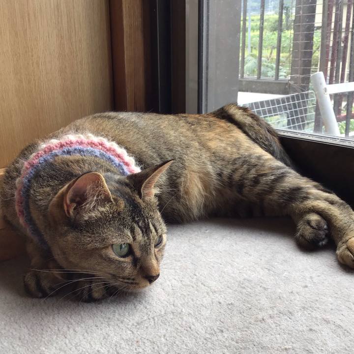 08ac4b48 7920 431f 992d 716133226d58 1626322562267