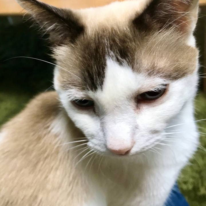 08ac527a fe0e 4a76 b9a4 8a17ffdb8d13 1603459194669