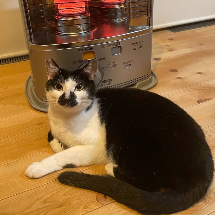 08ac93e3 0871 4179 91ed 680e270c2f76 1767169462637