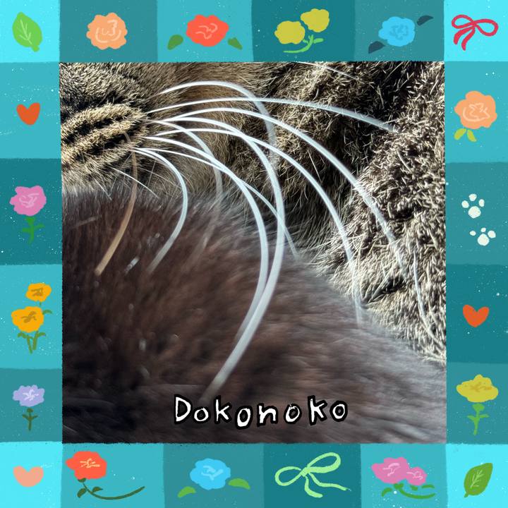 08ac96cf 17d2 4b5e a177 3e3d9a35e1f3 1715001388381