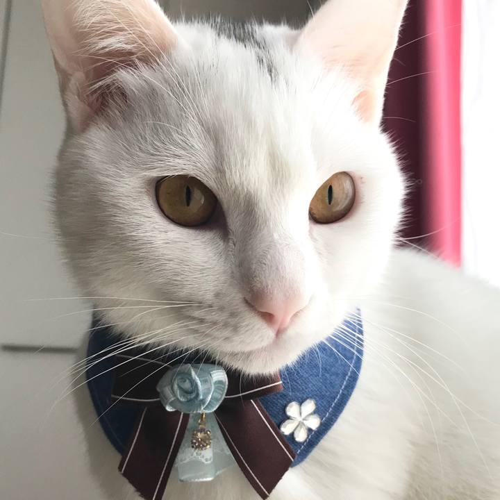 08acb36d 03e8 4018 a662 3113763e1f2a 1582708900160